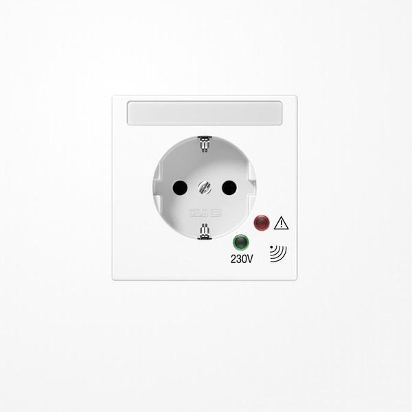 Jung LS521NAUFWW SCHUKO-Steckdose, Schraubklemmen, mit Funktionsanzeige, mit Überspannungsschutz, mit Schriftfeld, Duroplast, Serie LS, alpinweiß
