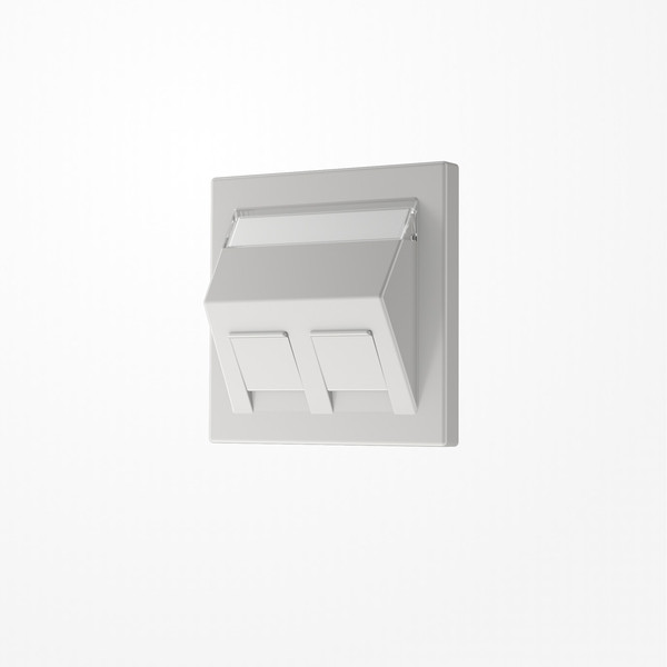 Jung LS569-30BFPLLG Abdeckung für Montageadapter 30°, 2fach, mit Schriftfeld, Serie LS, lichtgrau