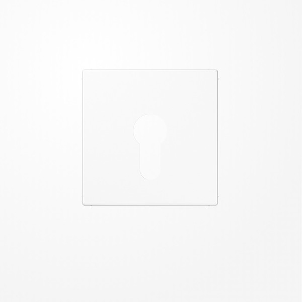 Jung LS925WW Abdeckung für Schlüsselschalter ohne Demontageschutz, Thermoplast, Serie LS, alpinweiß