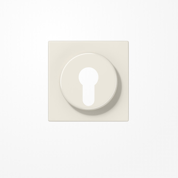 Jung LS928 Abdeckung für Schlüsselschalter mit Demontageschutz, Thermoplast, Serie LS, weiß