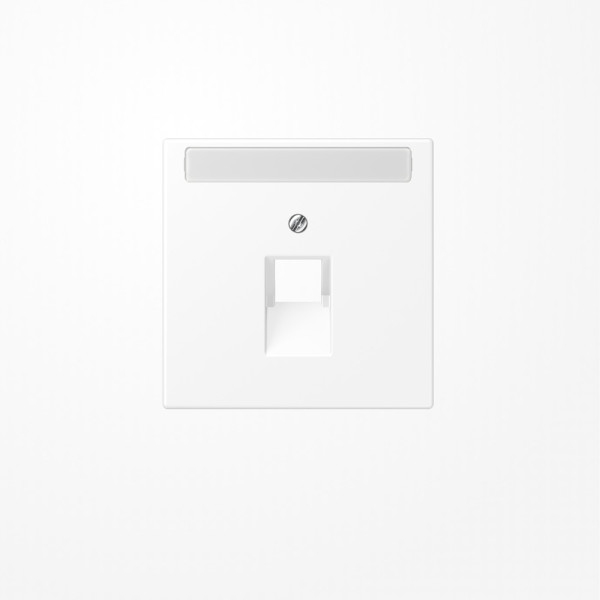 Jung LS969-1NAUAWWM Abdeckung für IAE/UAE-Anschlussdosen, 1x8-polig, mit Schriftfeld, Serie LS, schneeweiß matt