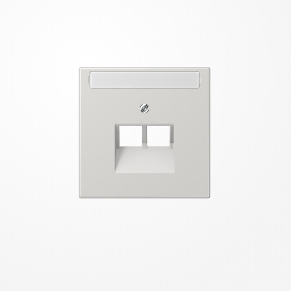 Jung LS969-2NAUALG Abdeckung für IAE/UAE-Anschlussdosen, 2x8-polig, mit Schriftfeld, Serie LS, lichtgrau