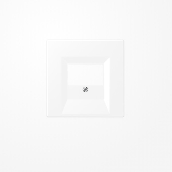 Jung LS969TWWM Abdeckung für TAE-Anschlussdosen 1fach, Thermoplast lackiert, Serie LS, schneeweiß matt