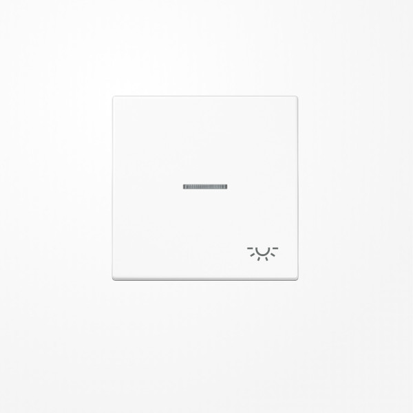 Jung LS990KO5LWW Wippe mit Lichtleiter, Symbol Licht, Duroplast, Serie LS, alpinweiß