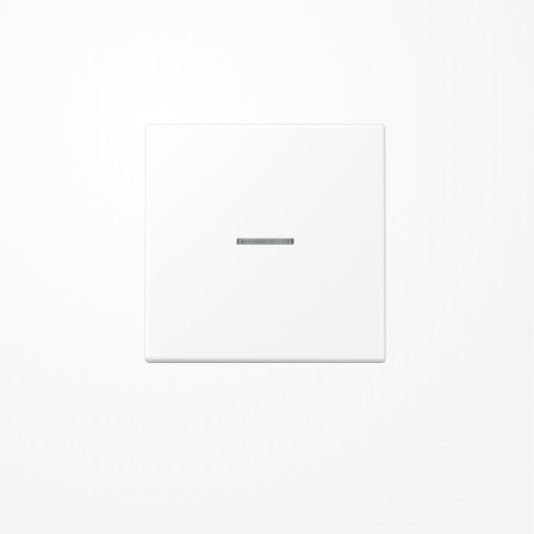 Jung LS990KO5WWM Wippe mit Lichtleiter, Duroplast lackiert, Serie LS, schneeweiß matt