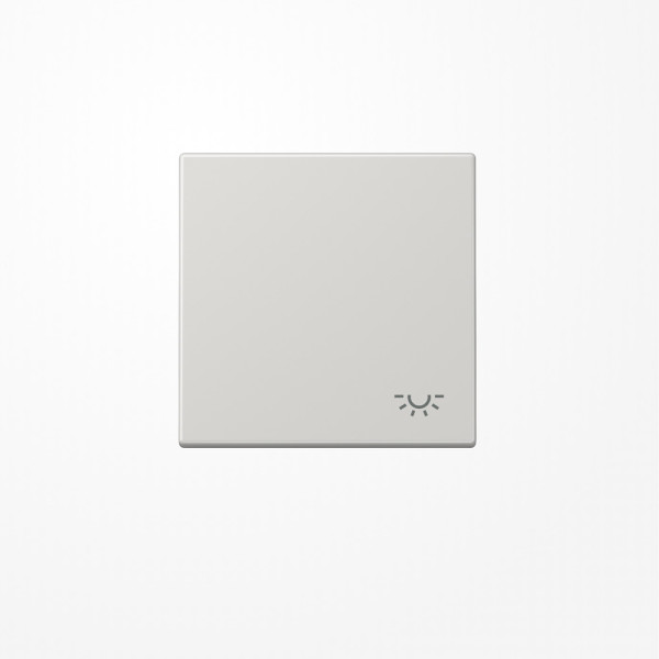 Jung LS990LLG Wippe, Symbol Licht, Duroplast, Serie LS, lichtgrau
