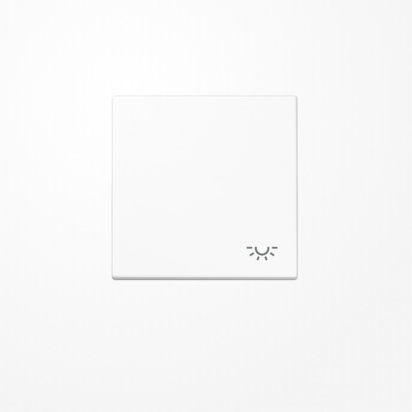 Jung LS990LWW Wippe, Symbol Licht, Duroplast, Serie LS, alpinweiß
