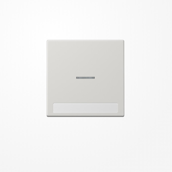 Jung LS990NAKO5LG Wippe mit Lichtleiter, mit Schriftfeld, Duroplast, Serie LS, lichtgrau