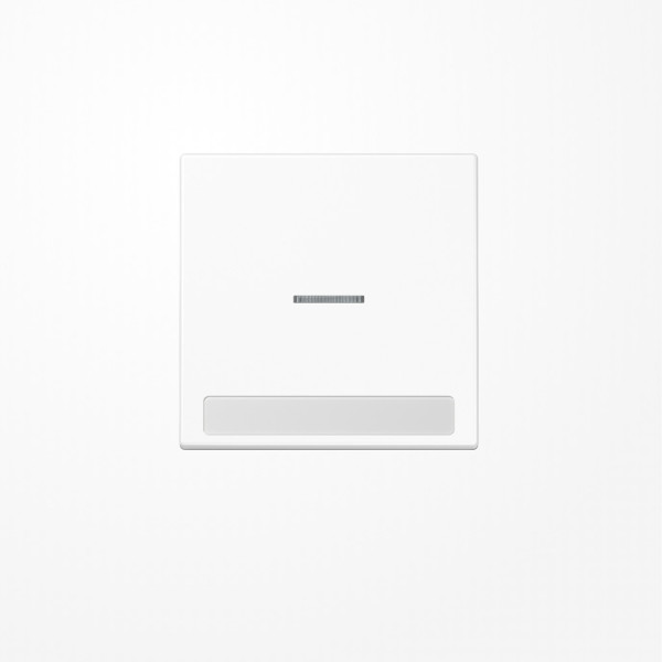 Jung LS990NAKO5WW Wippe mit Lichtleiter, mit Schriftfeld, Duroplast, Serie LS, alpinweiß