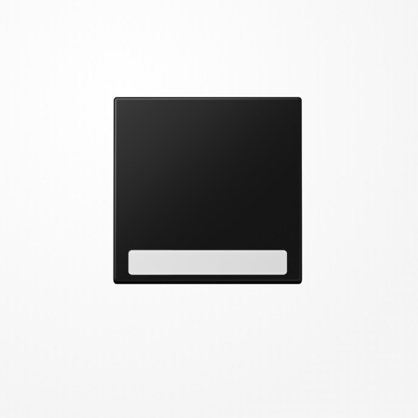 Jung LS990NASWM Wippe, mit Schriftfeld, Duroplast lackiert, Serie LS, graphitschwarz matt