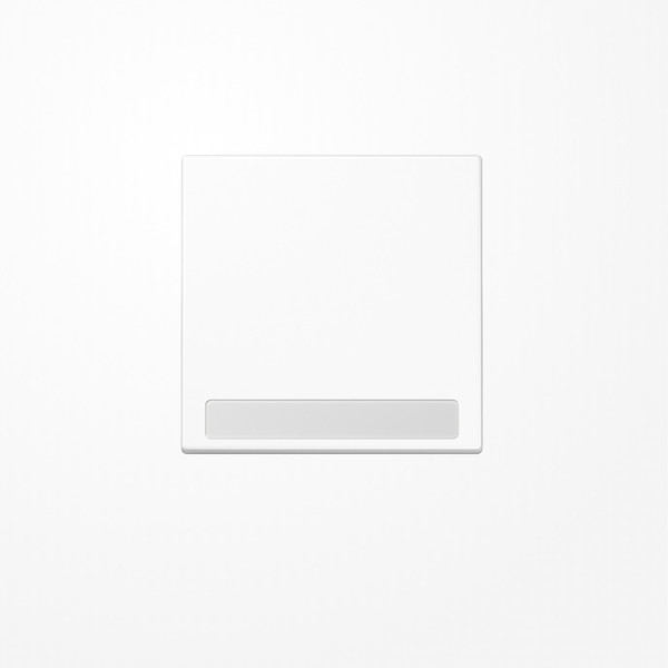 Jung LS990NAWW Wippe, mit Schriftfeld, Duroplast, Serie LS, alpinweiß