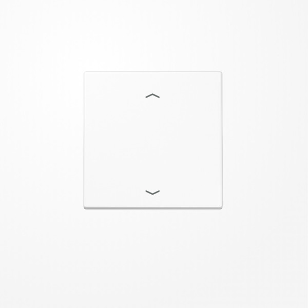 Jung LS990PWW Wippe, mit Pfeilsymbolen, Duroplast, Serie LS, alpinweiß