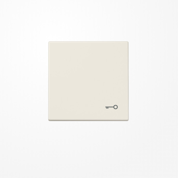 Jung LS990T Wippe, Symbol Tür, Duroplast, Serie LS, weiß