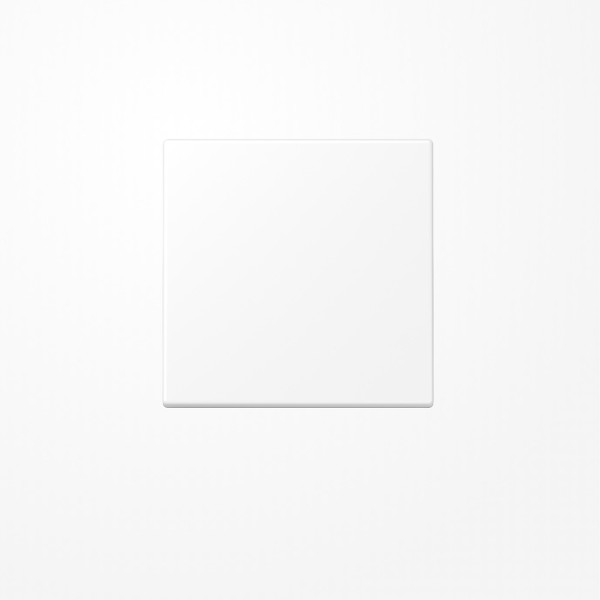 Jung LS990WWM Wippe, Duroplast lackiert, Serie LS, schneeweiß matt