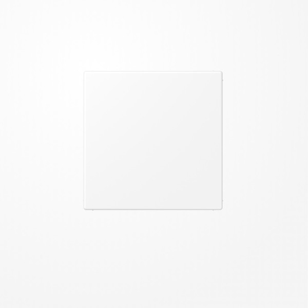 Jung LS994BWWM Blind-Abdeckung (gerastet), Thermoplast lackiert, Serie LS, schneeweiß matt