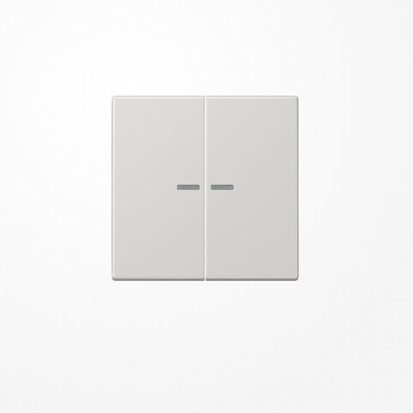 Jung LS995KO5LG Wippe mit Lichtleiter, Duroplast, Serie LS, lichtgrau