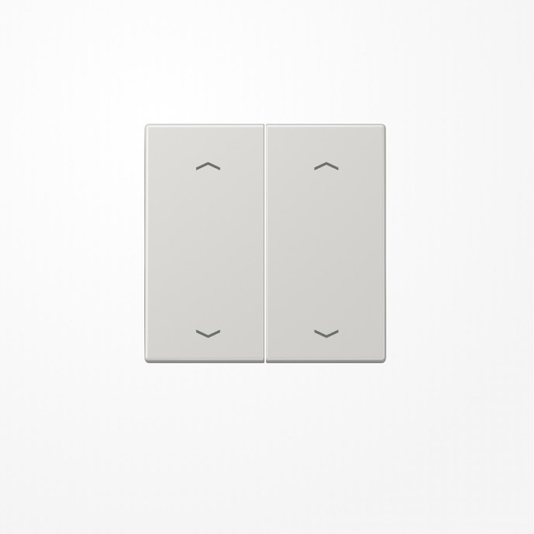 Jung LS995MPLG Wippe, mit 4 Pfeilsymbolen, Duroplast, Serie LS, lichtgrau