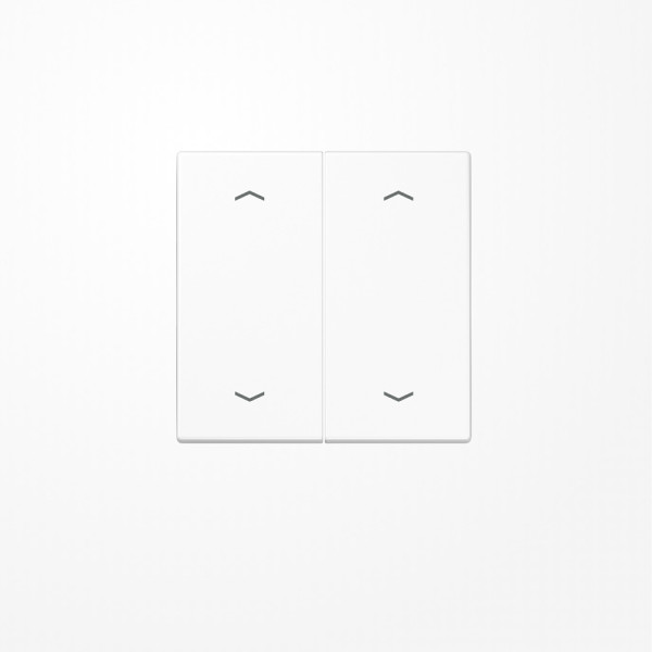 Jung LS995MPWW Wippe, mit 4 Pfeilsymbolen, Duroplast, Serie LS, alpinweiß