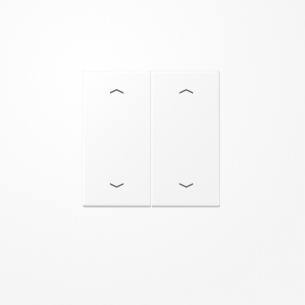 Jung LS995MPWWM Wippe, mit 4 Pfeilsymbolen, Duroplast lackiert, Serie LS, schneeweiß matt