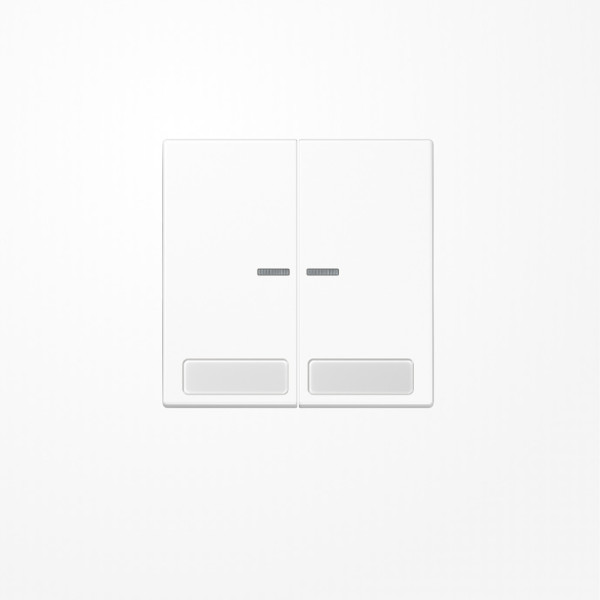 Jung LS995NAKO5WW Wippe mit Lichtleiter, mit Schriftfeld, Duroplast, Serie LS, alpinweiß