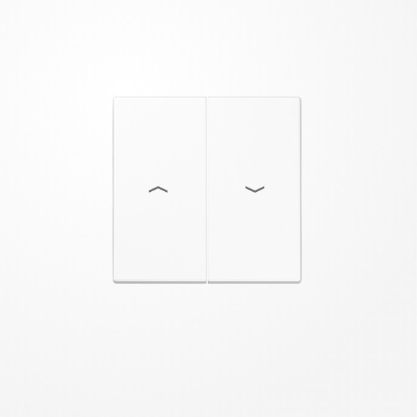 Jung LS995PWW Wippe, mit Pfeilsymbolen, Duroplast, Serie LS, alpinweiß