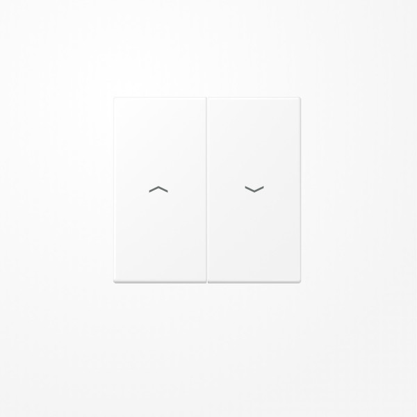 Jung LS995PWWM Wippe, mit Pfeilsymbolen, Duroplast lackiert, Serie LS, schneeweiß matt