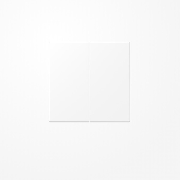 Jung LS995WWM Wippe, Duroplast lackiert, Serie LS, schneeweiß matt