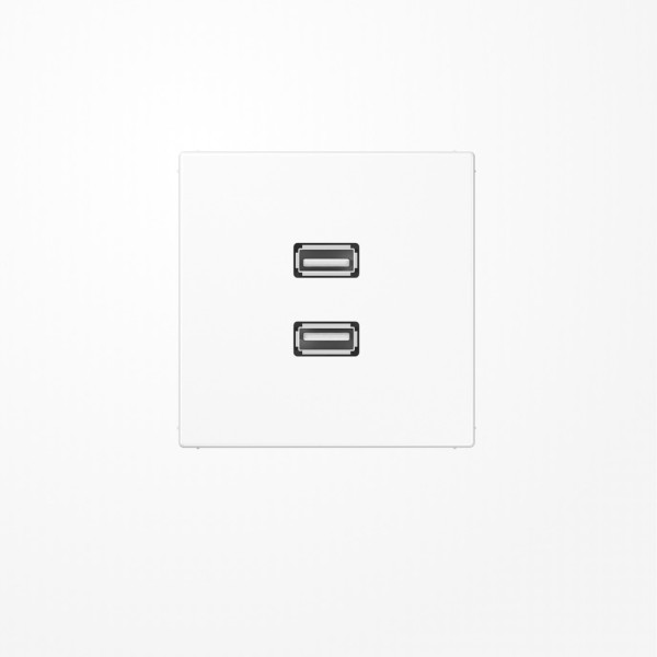Jung MALS1153WW USB2Punkt0, MultimediaAnschlussystem 2xUSB 2.0, Serie LS, alpinweiß