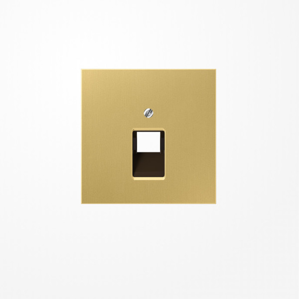 Jung ME2969-1UAC Abdeckung für IAE/UAE-Anschlussdosen 1x8-polig, Messing, Serie LS, Messing classic