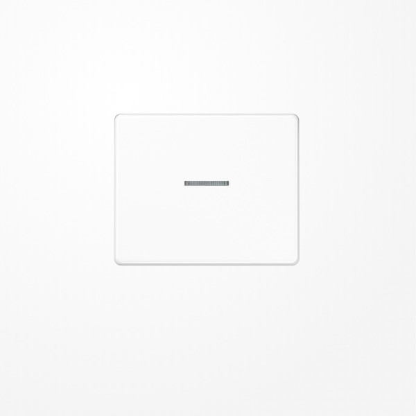 Jung SL590KO5WW Wippe mit Lichtleiter, Aluminium lackiert, Serie SL, alpinweiß