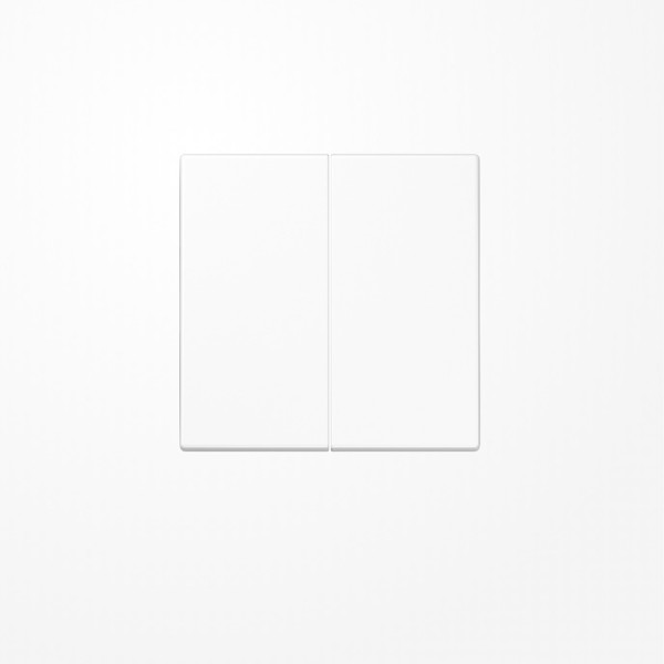 Jung SPLS102WW Wippe für Taster 2fach, Duroplast antimikrobiell, F10, Serie LS, alpinweiß