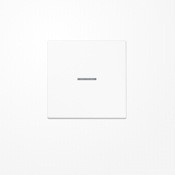 Jung SPLS990KO5WW Wippe mit Lichtleiter, Duroplast antimikrobiell, Serie LS, alpinweiß