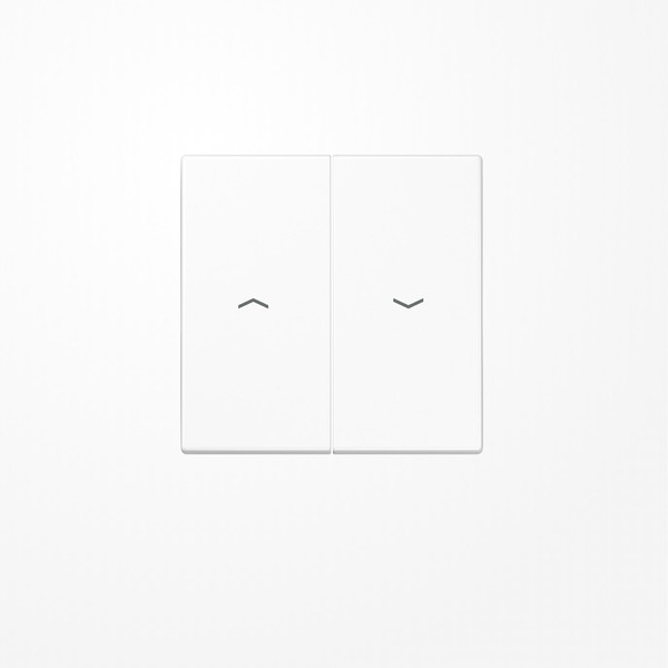 Jung SPLS995PWW Wippe, mit Pfeilsymbolen, Duroplast antimikrobiell, Serie LS, alpinweiß