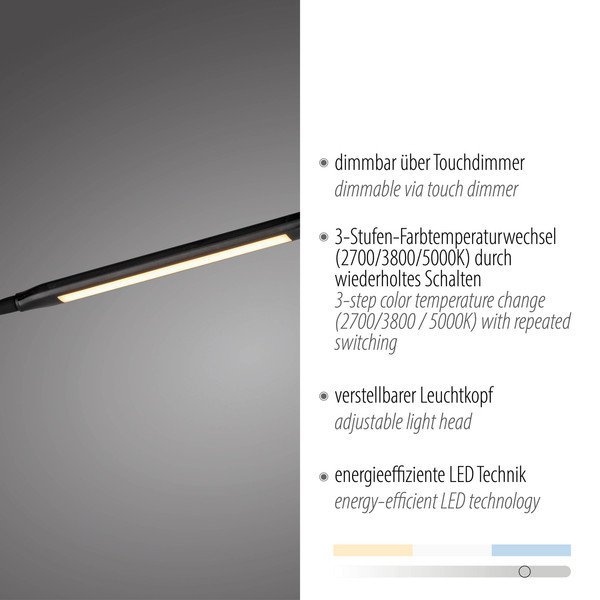 JUST LIGHT ELLY LED Stehleuchte CCT Dimmbar 6W schwarz 11031-18