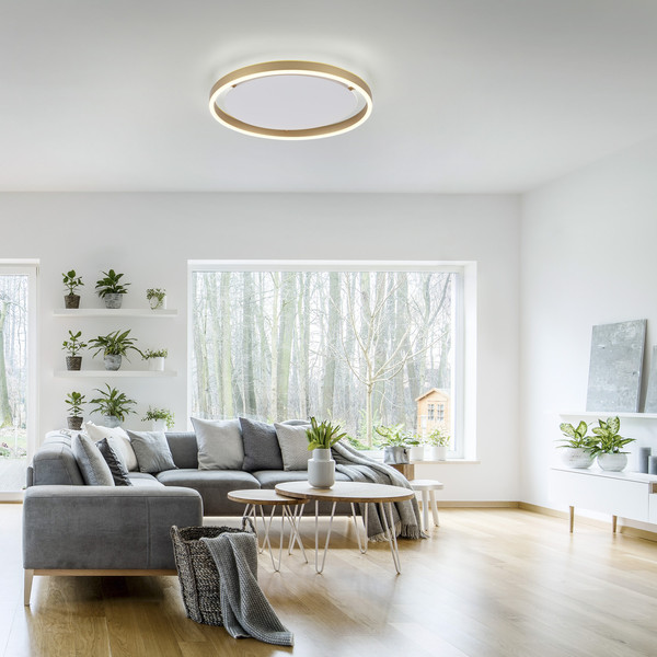 JUST LIGHT RITUS LED Deckenleuchte Warmweiss Dimmbar 20W messingmatt 15391-60