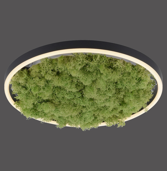 JUST LIGHT GERDA RITUS LED Deckenleuchte Warmweiss Dimmbar 20W moos 15391-66