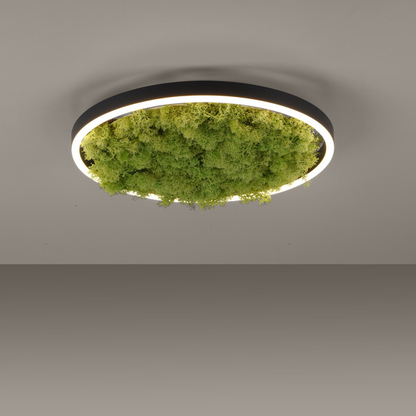 JUST LIGHT GERDA RITUS LED Deckenleuchte Warmweiss Dimmbar 20W moos 15391-66