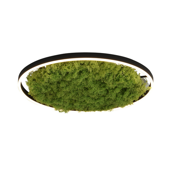 JUST LIGHT GERDA RITUS LED Deckenleuchte Warmweiss Dimmbar 28W moos 15392-66