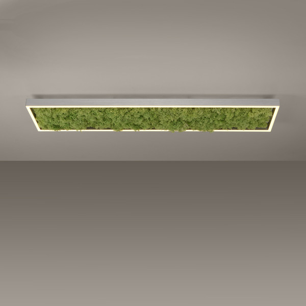 JUST LIGHT GERDA KNUT LED Deckenleuchte Warmweiss Dimmbar 25W moos 15623-66