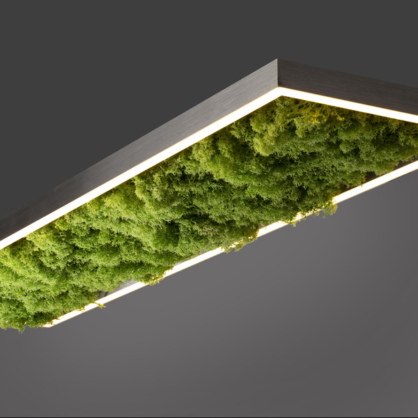 JUST LIGHT GERDA KNUT LED Deckenleuchte Warmweiss Dimmbar 25W moos 15623-66