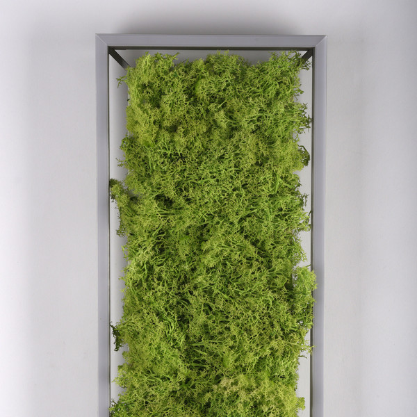 JUST LIGHT GERDA KNUT LED Deckenleuchte Warmweiss Dimmbar 25W moos 15623-66