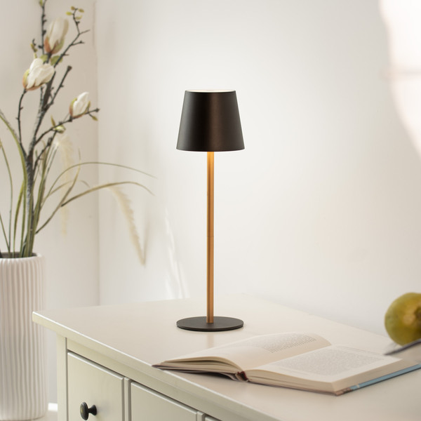 JUST LIGHT EURIA LED AKKU-Tischleuchte Warmweiss Dimmbar 2,5W schwarz/messing IP54 19250-68