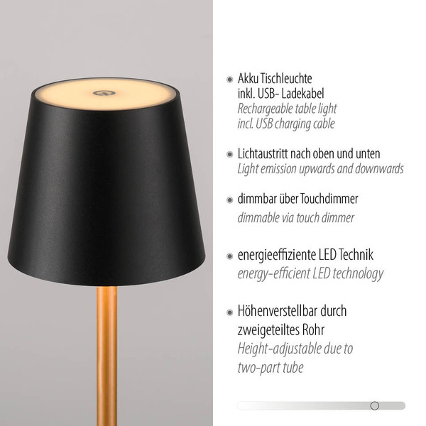 JUST LIGHT EURIA LED AKKU-Tischleuchte Warmweiss Dimmbar 2,5W schwarz/messing IP54 19250-68