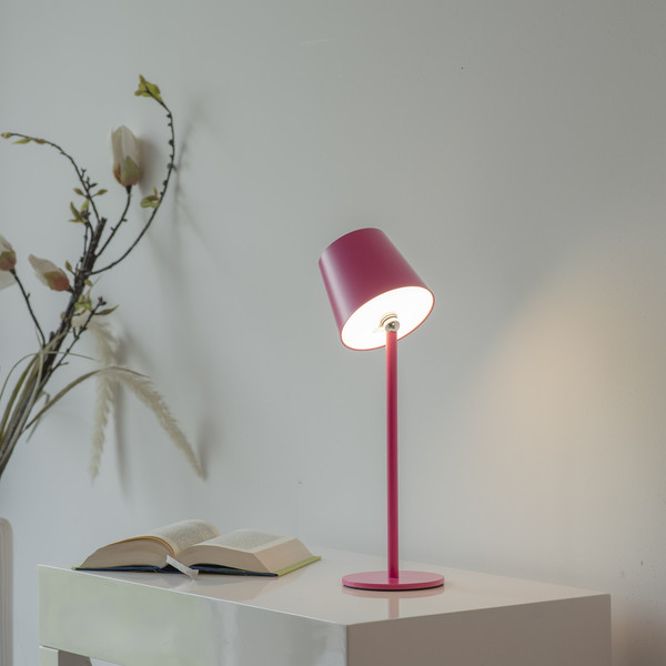 JUST LIGHT BOTERIA LED AKKU-Tischleuchte Warmweiss Dimmbar 2,5W pink IP54 19251-87
