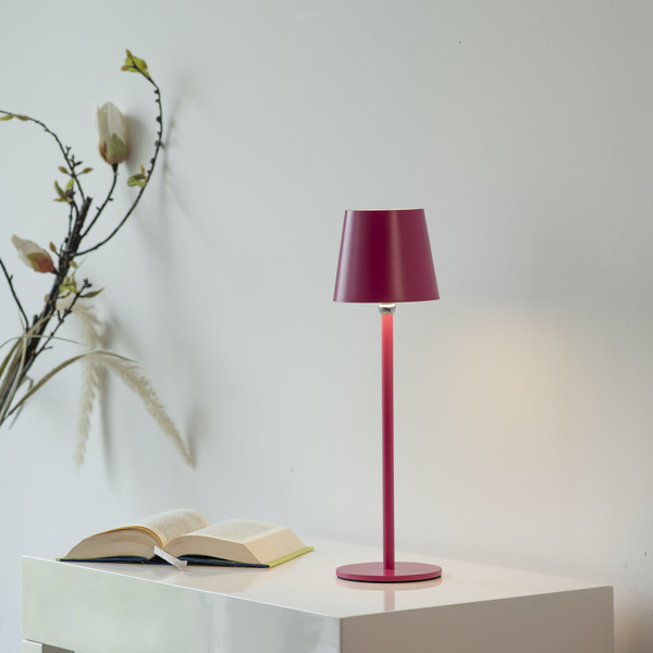 JUST LIGHT BOTERIA LED AKKU-Tischleuchte Warmweiss Dimmbar 2,5W pink IP54 19251-87