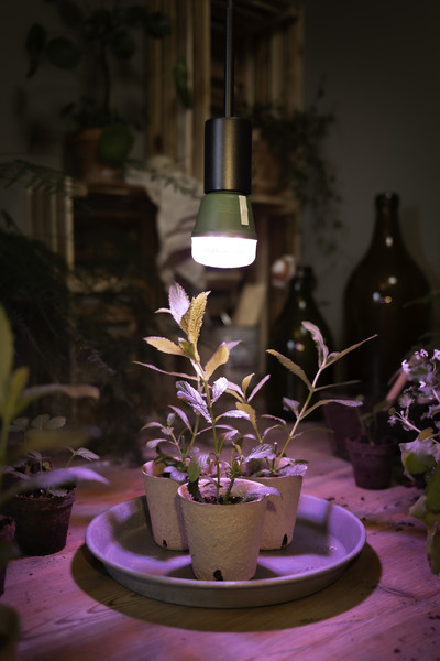 OSRAM LED Leuchtmittel LED STAR GROW T LAMP 10W Clear E27 4058075845787