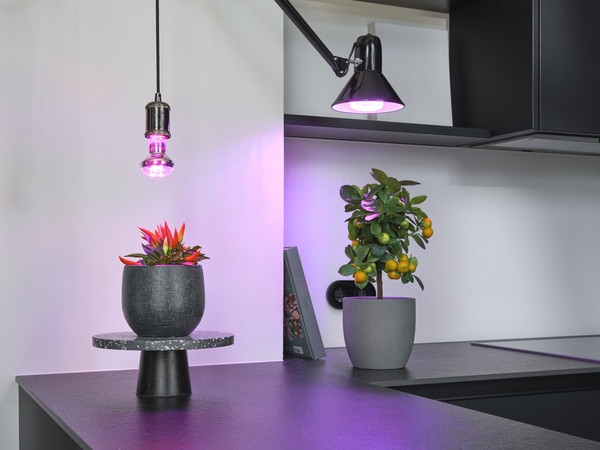 OSRAM LED Leuchtmittel LED STAR GROW T LAMP 20W Clear E27 4058075845800