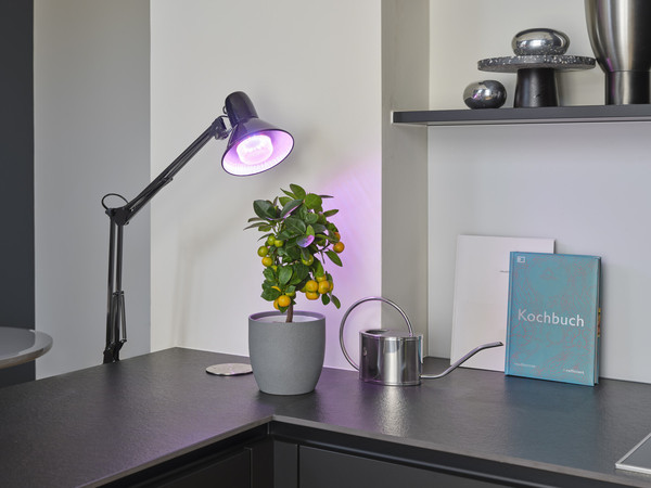 OSRAM LED Leuchtmittel LED STAR GROW T LAMP 20W Clear E27 4058075845800