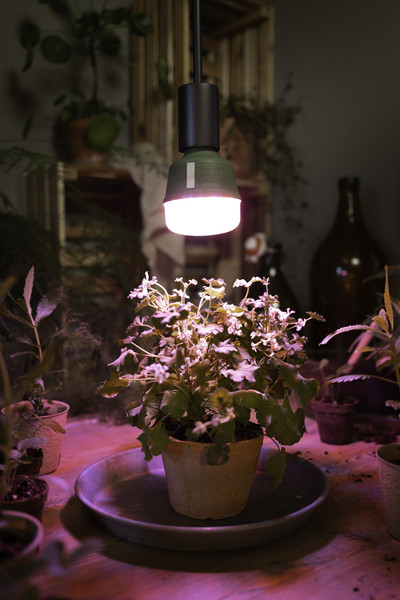 OSRAM LED Leuchtmittel LED STAR GROW T LAMP 20W Clear E27 4058075845800