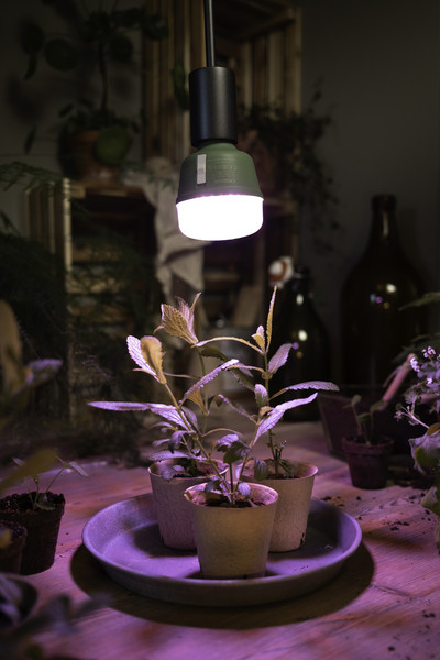 OSRAM LED Leuchtmittel LED STAR GROW T LAMP 20W Clear E27 4058075845800